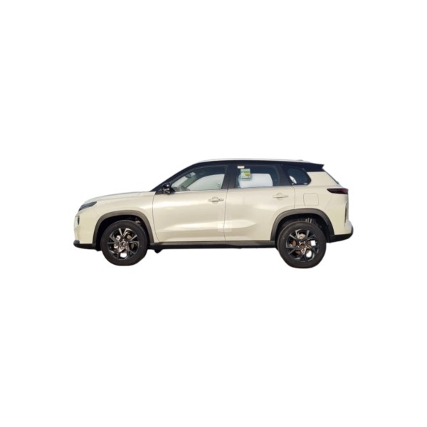 Toyota Urban Cruiser GLX