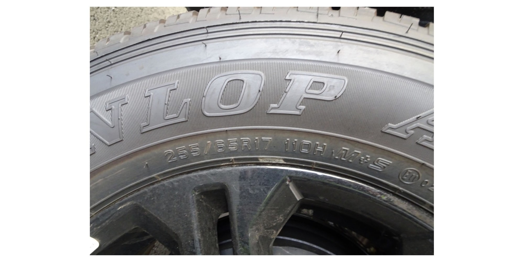 Nissan Navara PRO-4X 2.5L 4x4 AT for Sale | Modena Motors GmbH