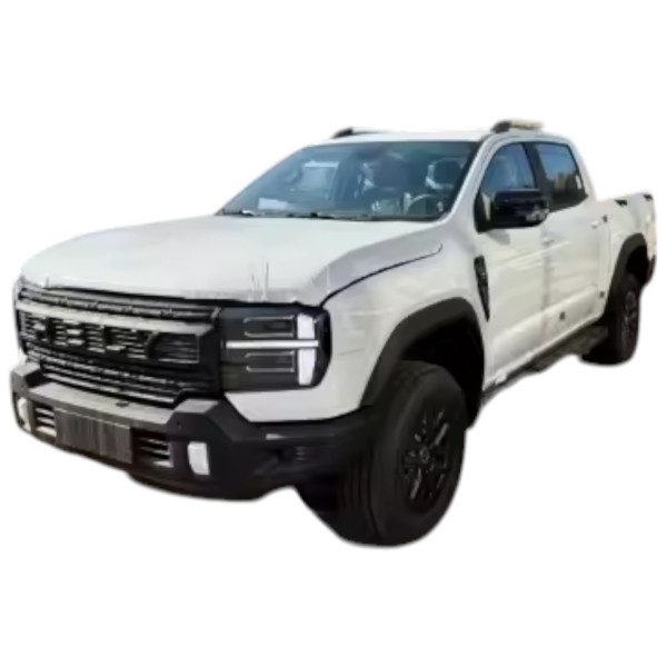 Rely R08 2.4 L Petrol Comfort 4WD Manual Transmission