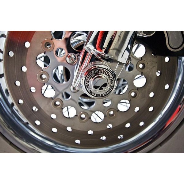 Harley-Davidson Softail | Deluxe Cruiser Motorcycle