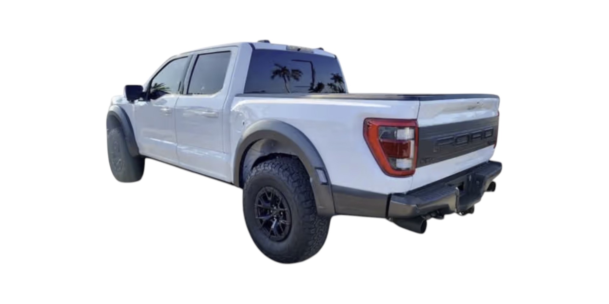 Ford F150 Raptor 3.5L V6 AWD 450 HP | Margarita Motion