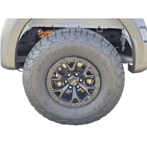Ford F150 Raptor 3.5L V6 AWD 450 HP | Margarita Motion