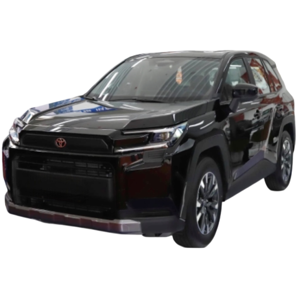 Toyota RAV4 2.0 Deluxe 2WD D AT | Margarita Motion C.A.
