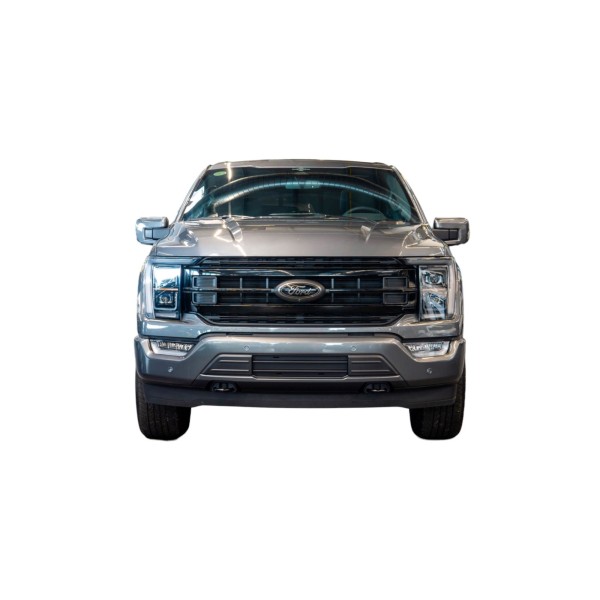 Ford F-150 Lariat | Power and Comfort
