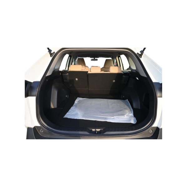 Toyota RAV4 LE Hybrid | Eco-Friendly AWD SUV