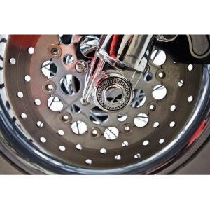 Harley-Davidson Softail | Deluxe Cruiser Motorcycle