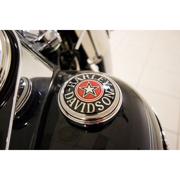 Harley-Davidson Softail | Deluxe Cruiser Motorcycle