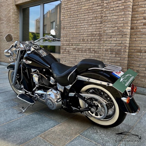 Harley-Davidson Softail | Deluxe Cruiser Motorcycle