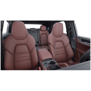 Porsche Cayenne Coupé | Sporty and Elegant SUV