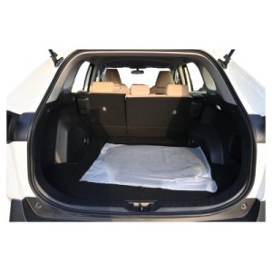 Toyota RAV4 LE Hybrid | Eco-Friendly AWD SUV