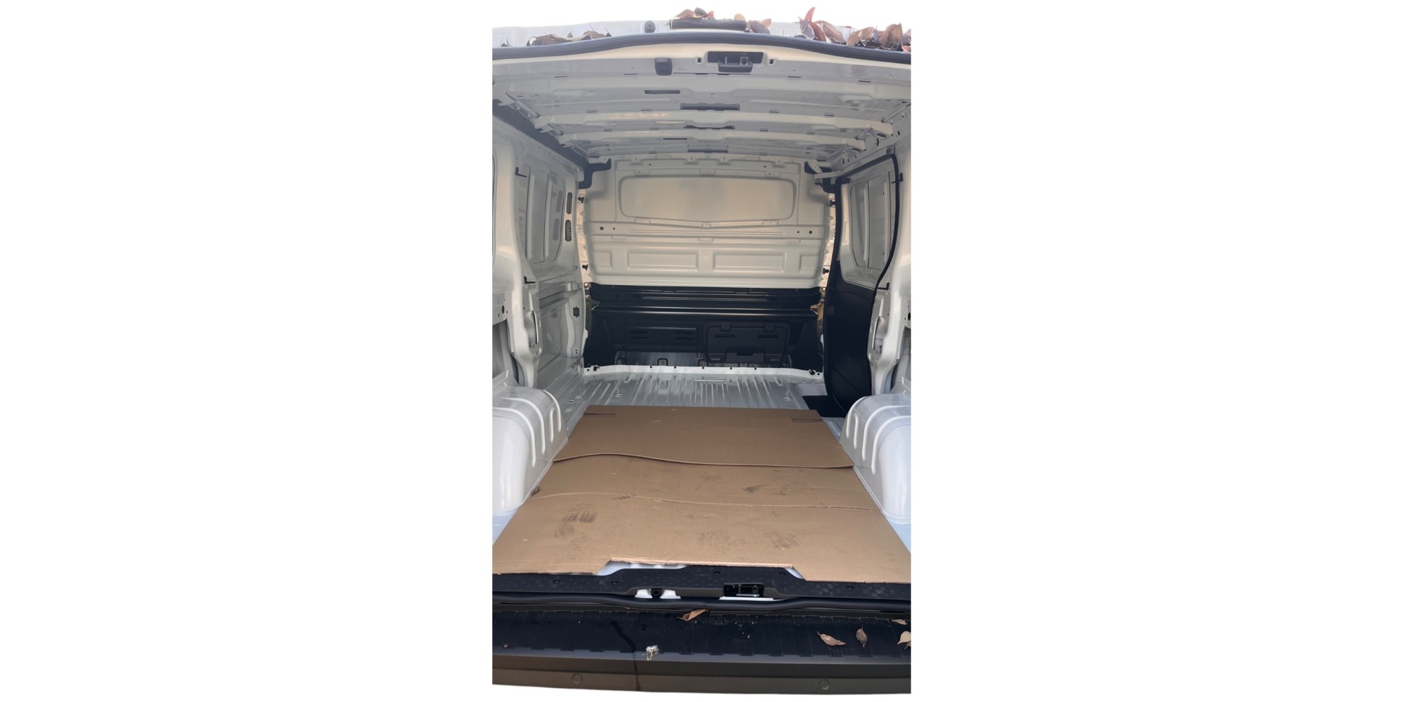 Renault Trafic 2.0 DCI - Versatile Van with Efficiency