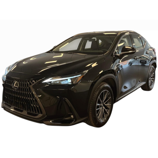 Lexus NX 350h Business – Hybrid Elegance for Professionals