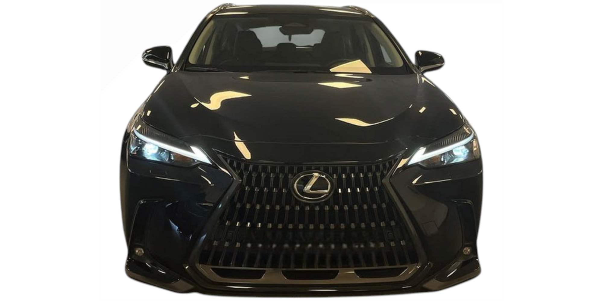 Lexus NX 350h Business – Hybrid Elegance for Professionals