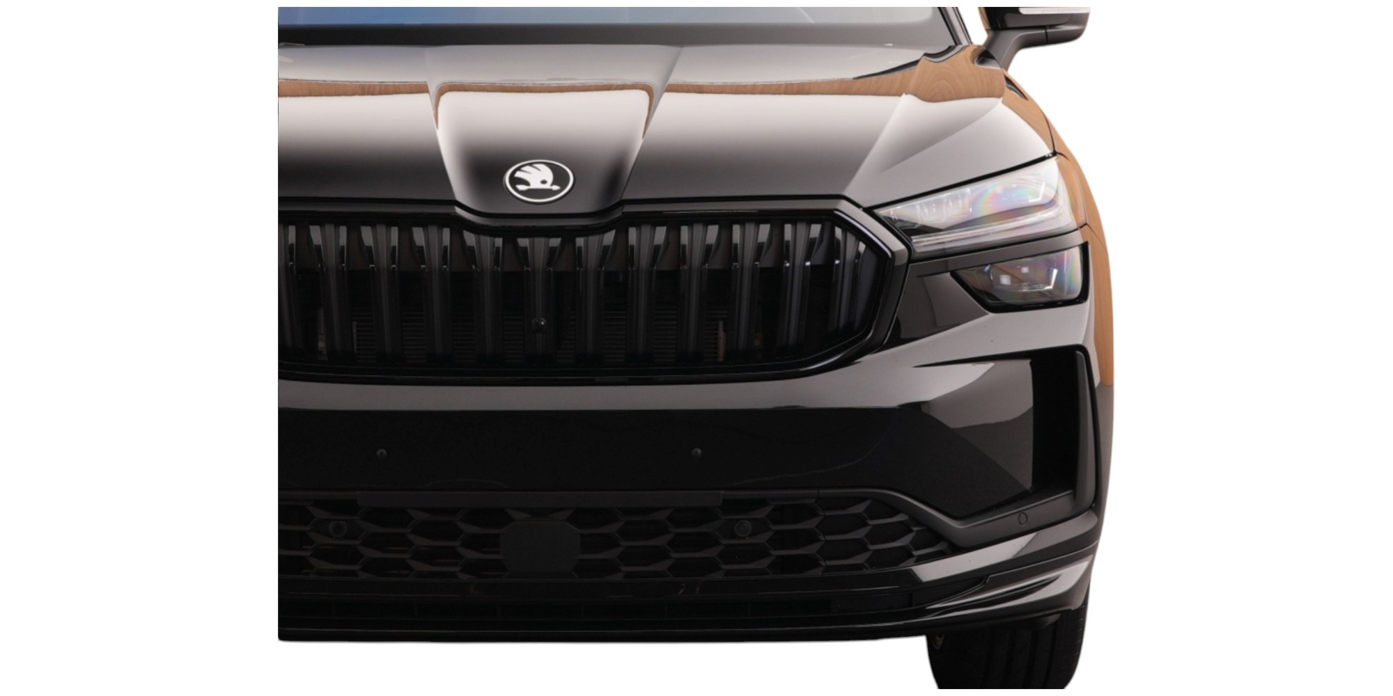 Škoda Kodiaq Sportline – Space & Performance | Drive Now