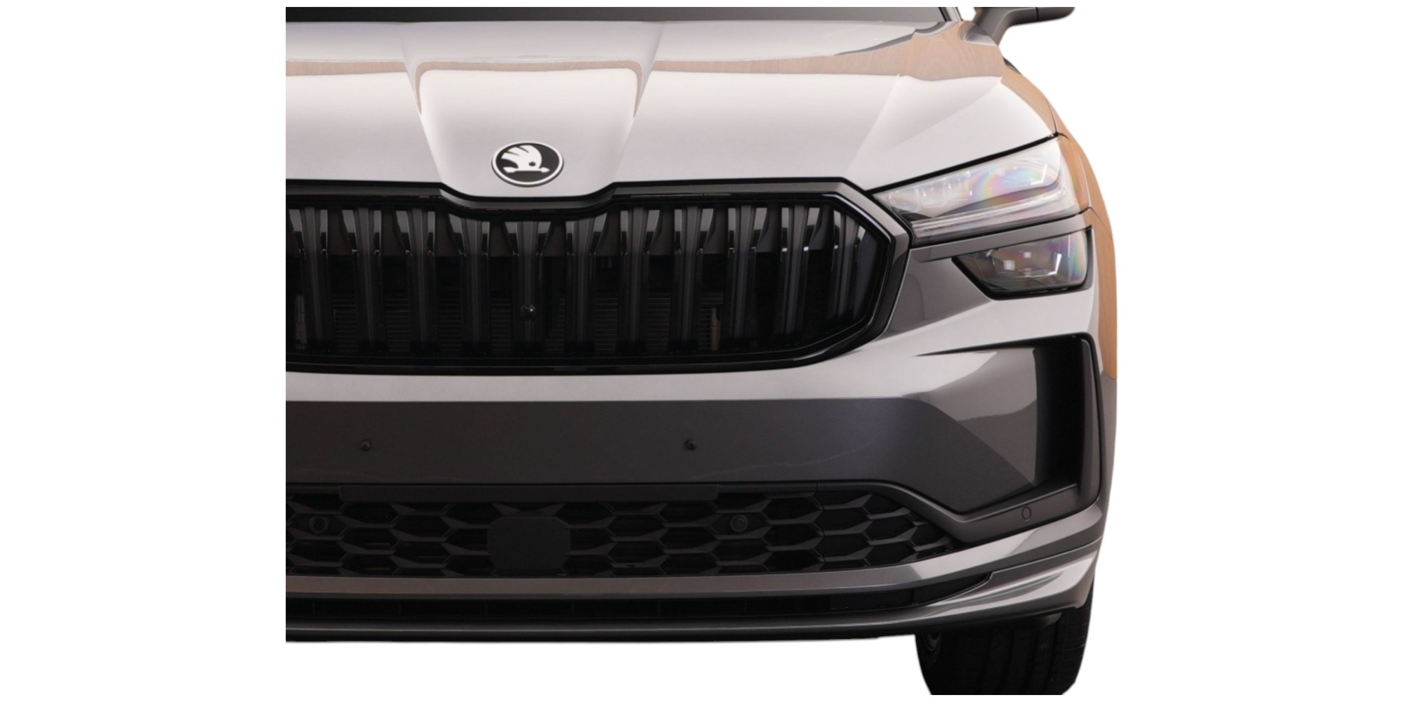 Škoda Kodiaq Sportline – Space & Performance | Drive Now